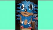 Cursed Sonic