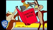 Looney Tunes | Road Runner Hunting | Classic Cartoon | WB Kids