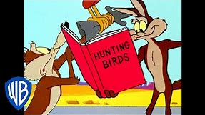 Looney Tunes | Road Runner Hunting | Classic Cartoon | WB Kids