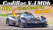 NEW 2024 Cadillac V-LMDh EVO Hypercar Testing at Imola Circuit - EPIC Cross-Plane V8 Sound! 🔊