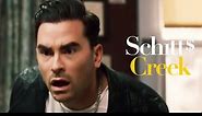 Yay, David! 10 Timeless Moments Between Alexis and David on Schitt's Creek