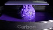Insanely Beautiful 3D Printing Time Lapse