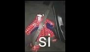 SI - Spiderman meme
