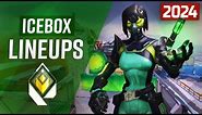 Viper Icebox Guide 2024 (Lineups & Setups) *NEW*