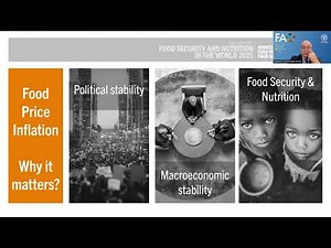 Technical presentation of The State of Food Security and Nutrition in The World