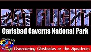 Bat Flight at Carlsbad Caverns National Park