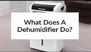 What Does A Dehumidifier Do? | Sylvane