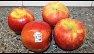 Cosmic Crisp Apple vs Honeycrisp Apple: Comparison & Review