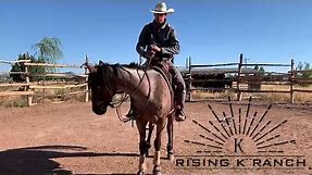 How to Handle the Reins- Beginner Horseback Riding