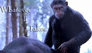 Caesar (Planet of the Apes): "Whatever It Takes"