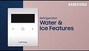 Using the AutoFill Pitcher and ice features on your Samsung Bespoke refrigerator | Samsung US