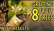 GRAFTING 8 FRUIT TREES – with RESULTS | Plum, Almond, Pear, Apple, Nectarine, Fig, Peach and Olive