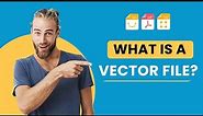 What is a Vector File?