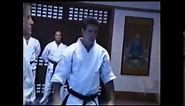 Austin St John martial arts background