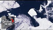 World's largest iceberg on the move from Antarctica