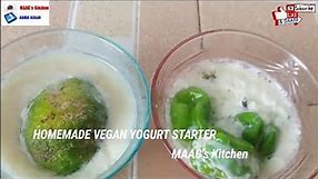Homemade Vegan Yogurt Starter| How To Make Vegan Yogurt Starter