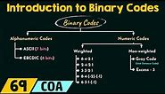 Introduction to Binary Codes