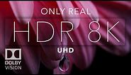 8K HDR Bright Color Dolby Vision