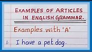 Examples of Articles in English Grammar | Articles Example Sentences | Definite and Indefinite