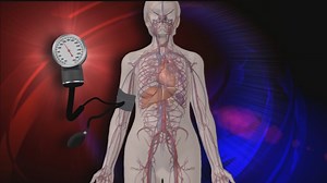 How Ebola attacks the body