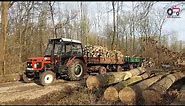 Forest Worker Zetor 5211