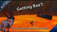 Baa'l : Getting a Baby Demon Goat Battle Pet - WoW Secrets