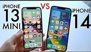 iPhone 14 Vs iPhone 13 Mini! (Comparison) (Review)