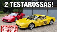 Ferrari Testarossa Vs 512TR! Ultimate Flat-12 Showdown! #DriveEveryFerrari | TheCarGuys.tv