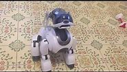 Sony Aibo ERS-7 M3 Demonstration