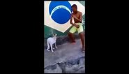 Brazilian dog dancing to Caravan Palace