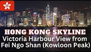 Hong Kong Skyline : Victoria Harbour view from Fei Ngo Shan (Kowloon Peak)