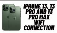 How to Fix iPhone 13, 13 pro and 13 pro max WIFI Connection Problem