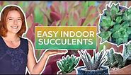 Easy Indoor Succulents (& How to Keep Them Alive!)