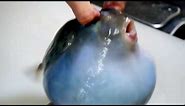 50 hit combo on pufferfish (CHECK DESCRIPTION)