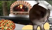 Cat making Pizza (meme)