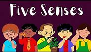 Five Human Senses - Learn about sense organs