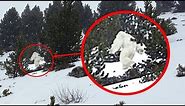Real Life Yeti Sighting Caught On Camera In Mountains?