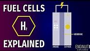 Hydrogen Fuel Cell: How It Works