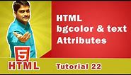HTML bgcolor & text Attribute - HTML Tutorial 22 🚀
