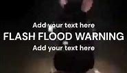 flash flood warning meme