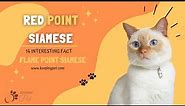 14 Interesting Facts About Red Point Siamese Aka Flame Point Siamese Cats