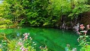 ♠ Ricky King ♫ Avalon ♥ Croatia Plitvice Lakes