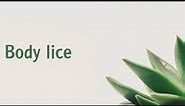 Body lice | Symptoms | Causes | Treatment | Diagnosis aptyou.in