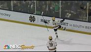 College hockey: Notre Dame vs. Augustana | HIGHLIGHTS | 12/31/23 | NBC Sports