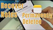 How to Recover Accidentally Deleted Notes on iPhone in 4 Ways | Get Back Permanently Deleted Notes