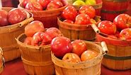 Michigan apple harvest guide: When to find your favorites