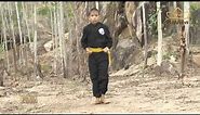 Vietnamese Martial Arts - Binh Dinh Region Martial arts & Grandmaster Phi Long Vinh
