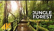 4K Nature Treasures of Hawaii Botanical Garden - Jungle Forest Cinematic Virtual Walk (Slow Motion)