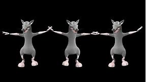 Mouse dance, rat meme, mouse dancing, rat funny video, dancing rat meme, mouse funny video
