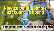 How to build a simple backyard fishpond: From pond construction to feeding fish